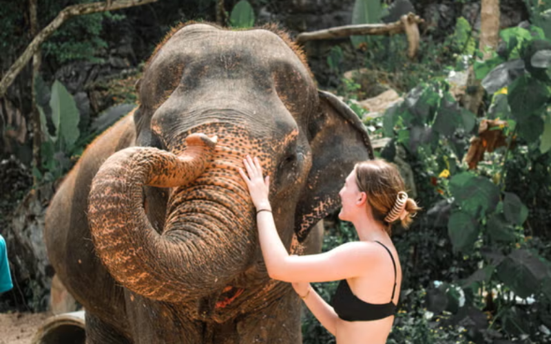 Viagem para Sudeste Asiático em 30 Dias
